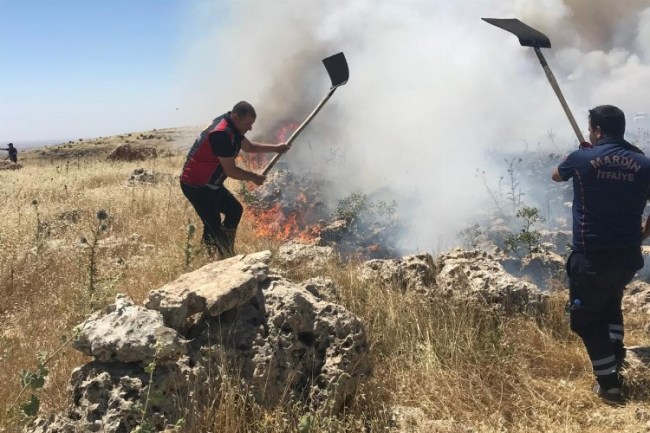 Aydın: "Hasat mevsiminde anız yangınlarına karşı duyarlı olalım"