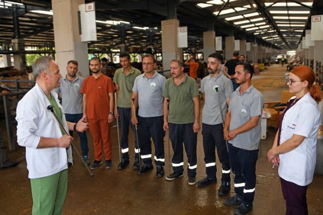 Osmangazi'de Kurban Yakalama Timi göreve hazır