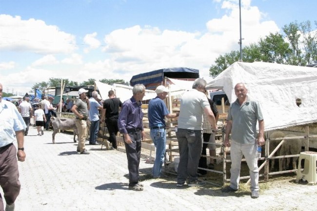 Yenişehir Kurban Pazarı'nda arife günü hareketliliği