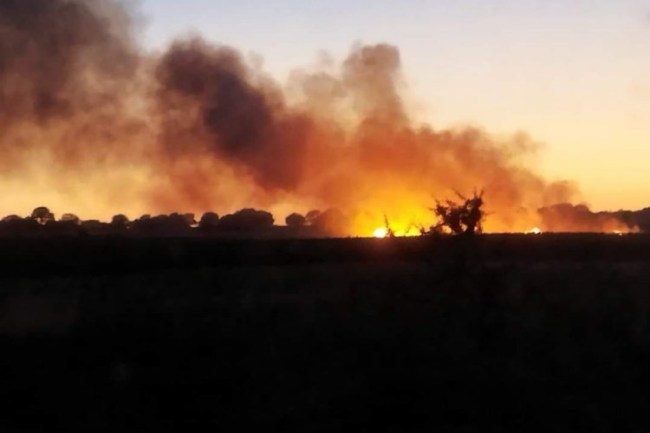 İpsala'da 100 dekar buğday tarlası yandı