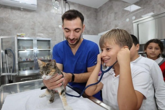 Gebze'de 309 patili cana yeni yuva bulundu