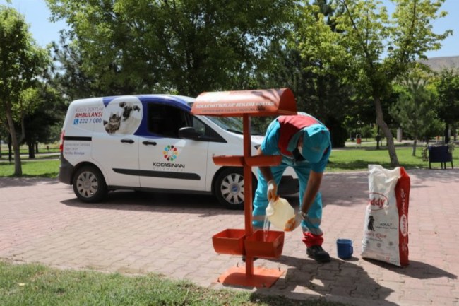 Kocasinan'dan sıcak havada sokak hayvanlarına su ve mama takviyesi