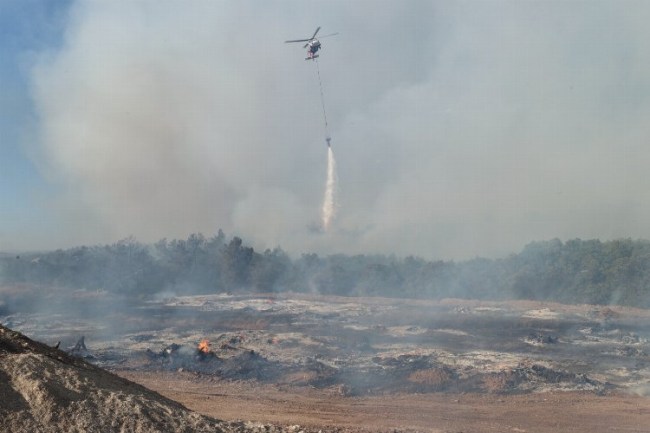 Bursa orman yangınında şaibe var mı?