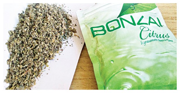 BU SEFER CAMİ TUVALETİNDE YAKALANDI!..