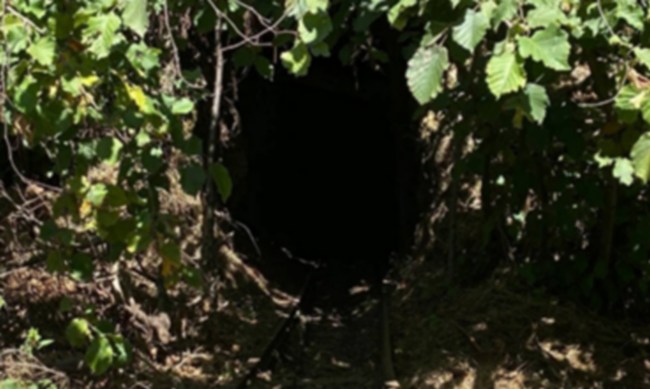 Kilimli'de kaçak ocak imha edildi