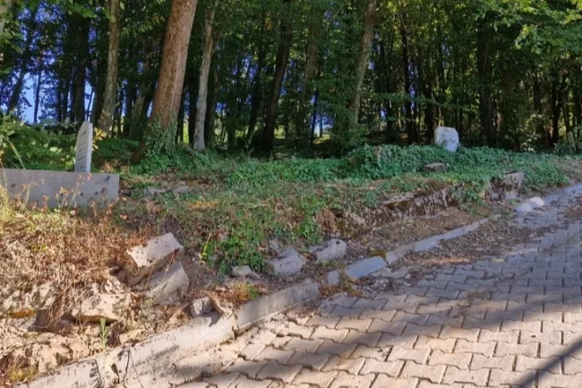 Bursa'da Fevziye Mahallesi Mezarlığı'nın bakımsızlığı tepki çekiyor