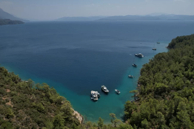 Muğla'ya 220 davalı koruma