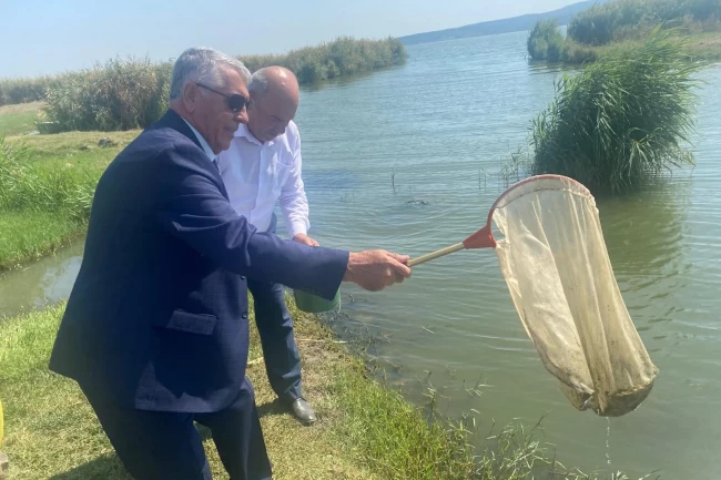 İpsala'da yetiştirilen balıklar iç sulara bırakıldı