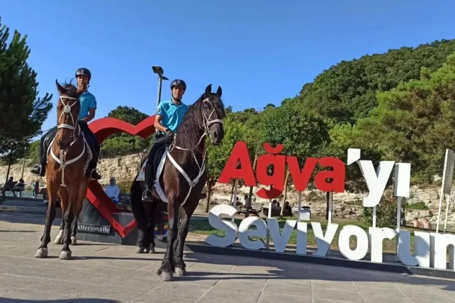 Şile'de polis ve jandarma ekipleri suça ve suçluya göz açtırmıyor