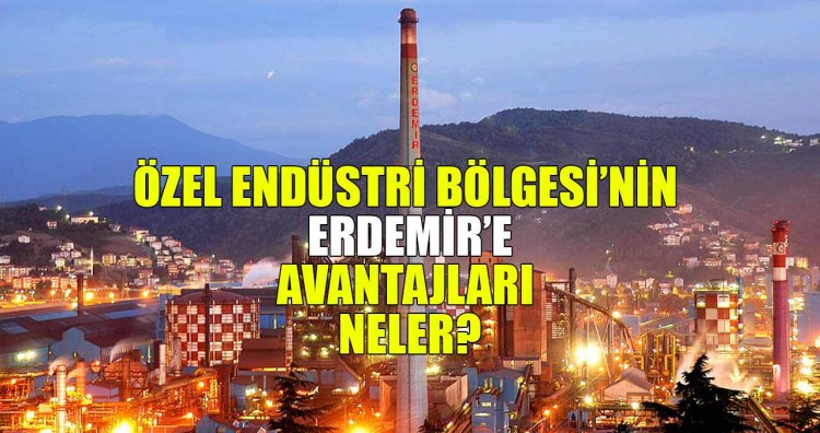 13 madde'de Özel Endüstri Bölgesi avantajları