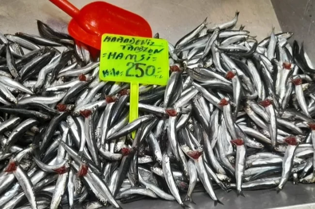 Bursa'da balık fiyatları düşmüyor