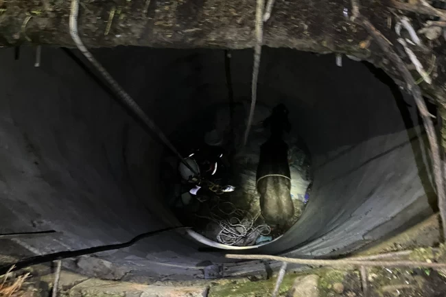 İzmir İtfaiyesi'nden 'buzağı' operasyonu!