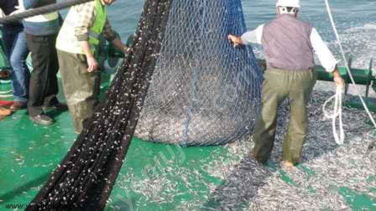 VALİLİKTEN TROL AVCILIĞI İLE İLGİLİ AÇIKLAMA..