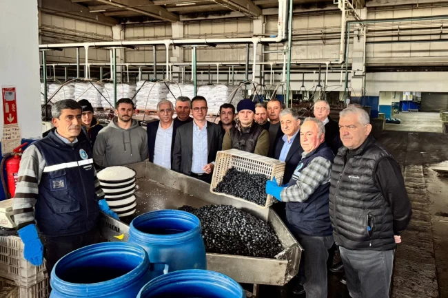 Bursa İznik'te Kaymakam Karaman'dan Zeytin Kooperatifi'ne ziyaret