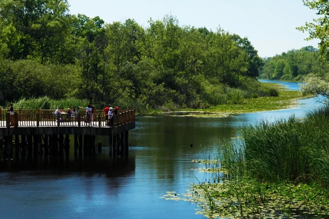 Longoz ve İl Ormanı'nın muhteşem doğası 2024'ün gözdesi oldu