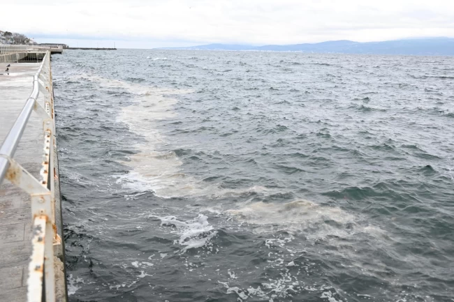 Marmara'daki müsilaj tehdidi Gemlik Körfezi'nden incelendi