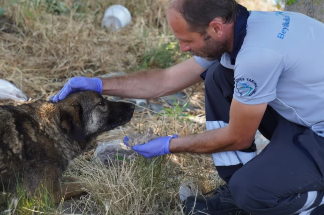 İstanbul Beylikdüzü'nde duyarlılık örneği