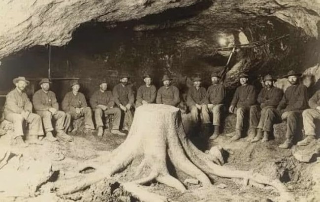 Bu fotoğraf 1918 yılında kömür ocaklarında çekildi