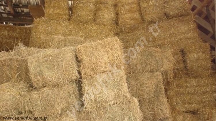 İŞTE BURADA BULUNDU!..