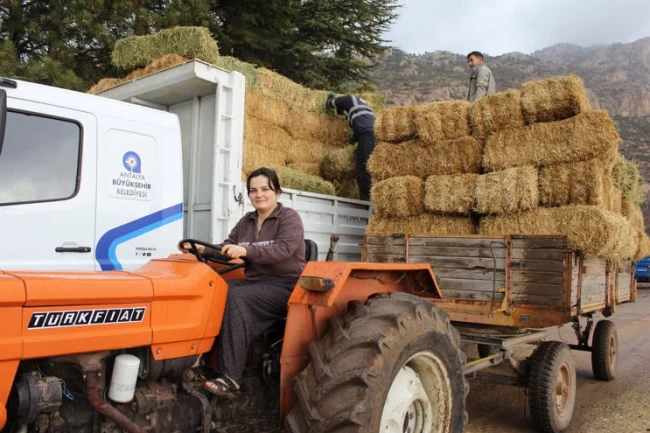 Antalya Elmalı Yuva'da saman desteği afetzedelerin yüzünü güldürdü