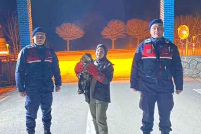 Eskişehir'de yaralı kızıl şahin tedaviye alındı