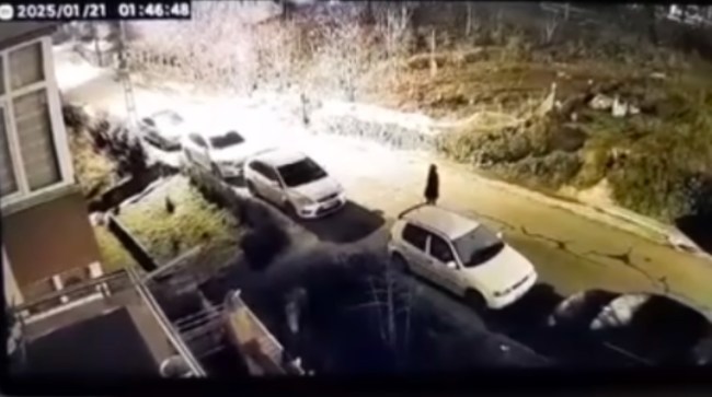 Paspas’tan sonra sibop kapağı hırsızını da gördük