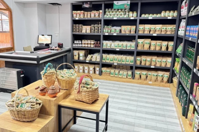 Bursa Gemlik'in zeytinyağları Giresun'da