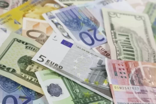 2024 yılına ilişkin esas kurlar 'Resmi'leşti