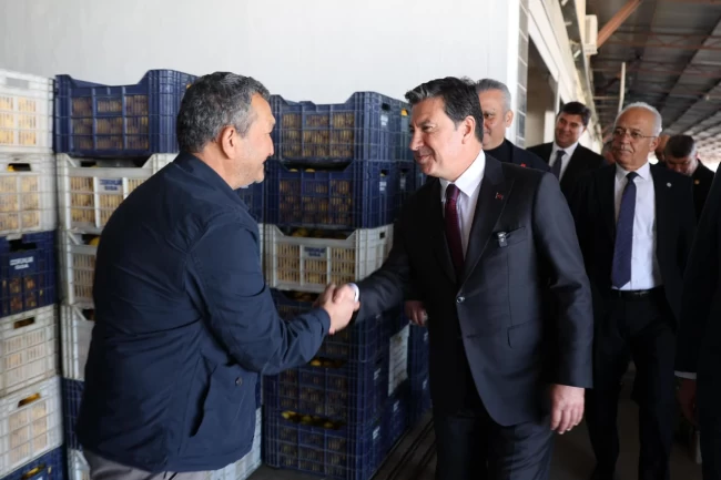 Başkan Aras Fethiye'de çalışmaları yerinde inceledi