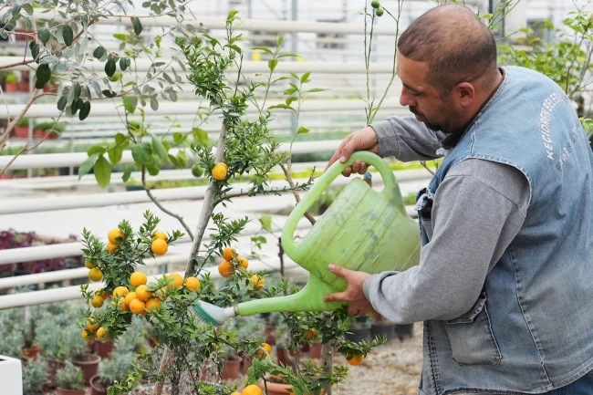 Ankara'da doğru bilinen yanlışları öğrenecekler