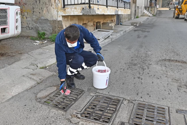İzmir Karabağlar'da erken dönem sinek mücadelesi başladı