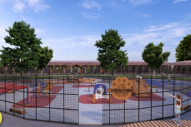 Sakarya'da sahipsiz hayvanlar doğal alanına kavuşacak