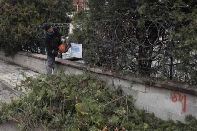 Bursa İnegöl'de ağaç budama çalışmaları sürüyor