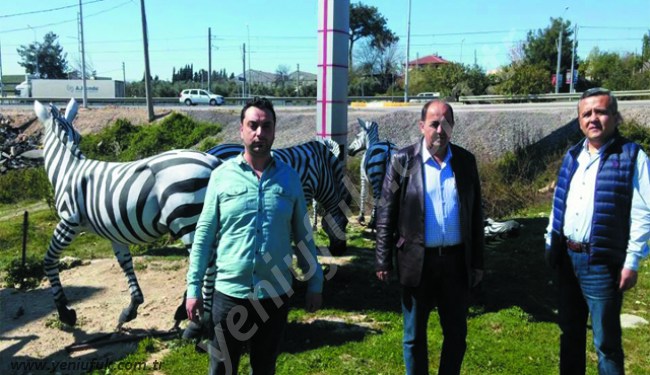 GÜLÜÇ'E YENİ MİSAFİRLER GELİYOR..