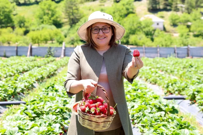 Tarım zirvesi başlıyor: Sektörün öncüleri Gaziantep'te buluşuyor