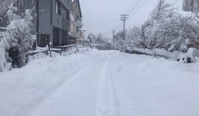 Zonguldak’ta beyaz esaret: 252 köye ulaşılamıyor