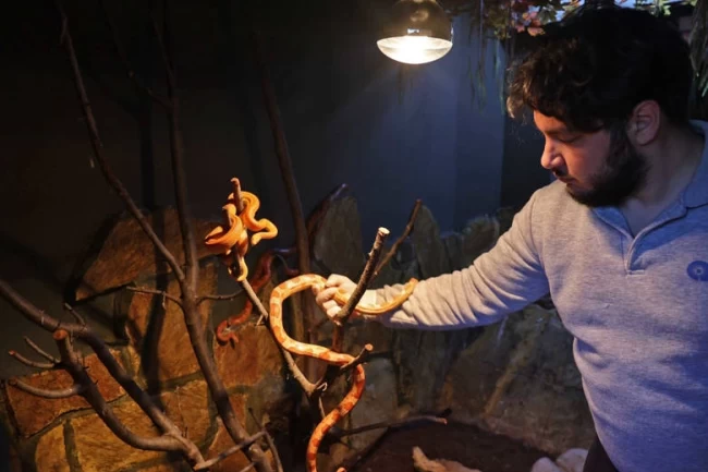 Antalya Doğal Yaşam Parkı'nda soğuk hava önlemi