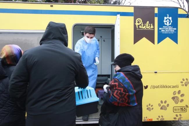 Kocaeli'de 'Kısırlaştırma Karavanı' dönemi