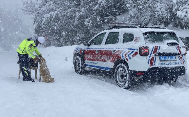 Emniyet güçleri sokak hayvanlarını unutmadı