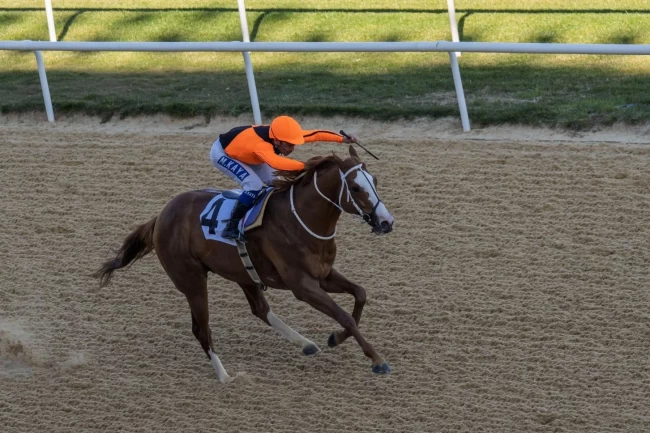 İzmir Büyükşehir Belediye Başkanlığı Koşusu'nu Wardenclyffe kazandı