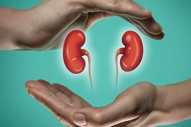 Sakarya'da böbrek sağlığı anlatılacak