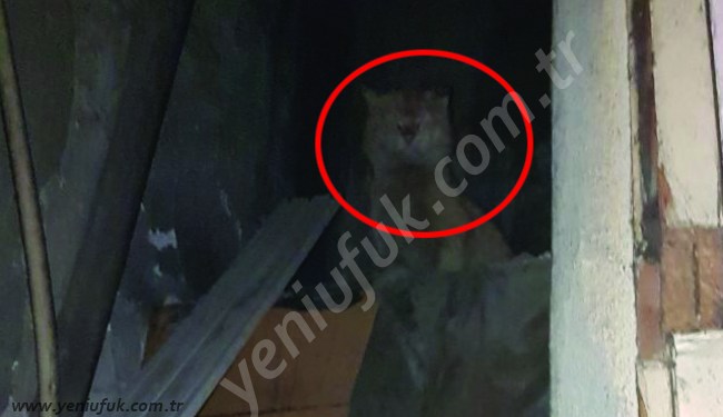 İTFAİYE EKİBİ KURTARDI..