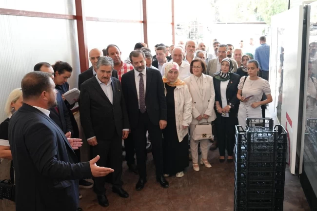 Bursa Gürsu Belediyesi tarımsal dönüşümün öncüsü oluyor