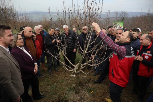 İzmit'te üreticilere uygulamalı budama ve aşılama eğitimi