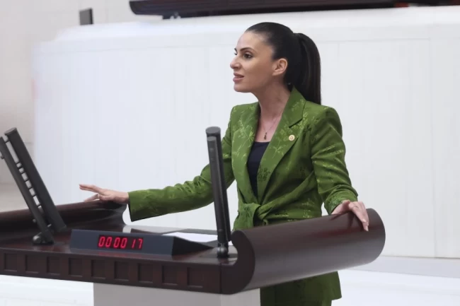 Muğla'da narenciye üreticisinin TBMM'de sesi oldu