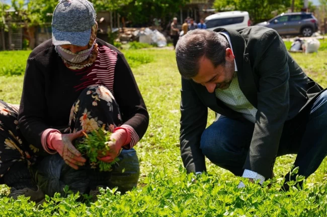 Bursa Gürsu'ya ‘Altın' değerinde bir proje