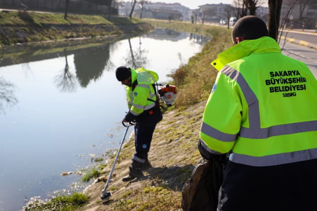 Sakarya'da Çark Deresi'nde bahar temizliği başladı