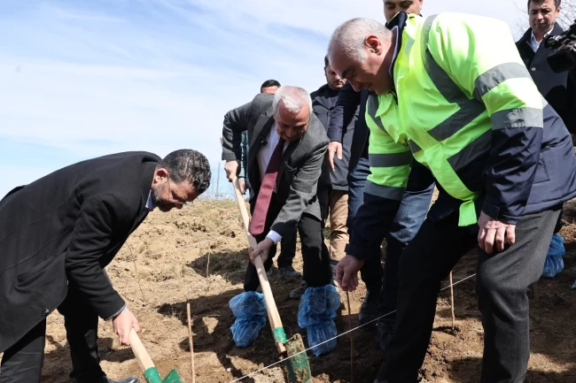 Bursa Nilüfer'de çiftçiye örnek olacak