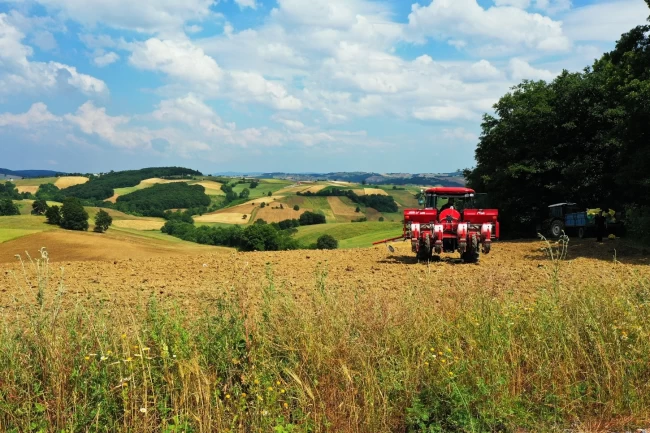 Kocaeli'de 56 bin dekar mısır tarlası bereketlenecek
