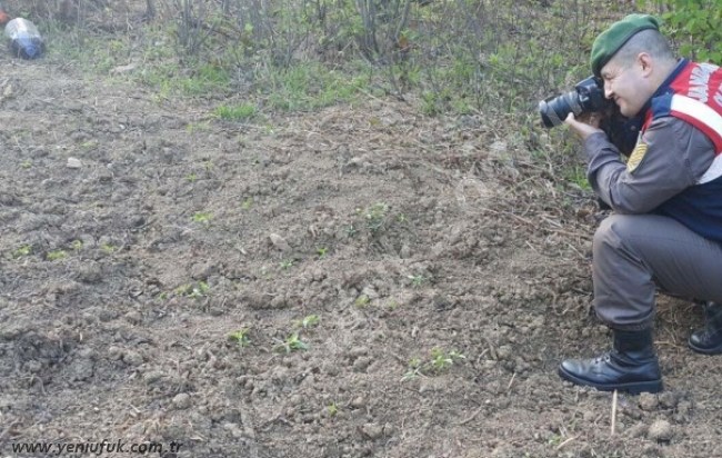 SON DAKİKA..TAM 120 KÖK!..